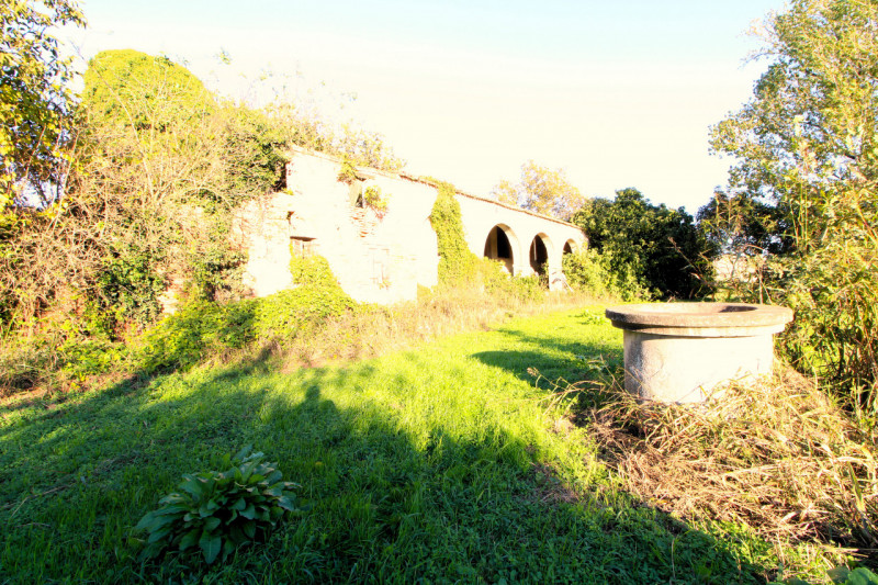 PERNUMIA: se sogni di vivere immerso nella tranquillità della campagna veneta, questa è l'opportu...