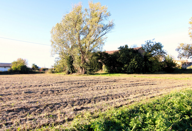 PERNUMIA: se sogni di vivere immerso nella tranquillità della campagna veneta, questa è l'opportu...