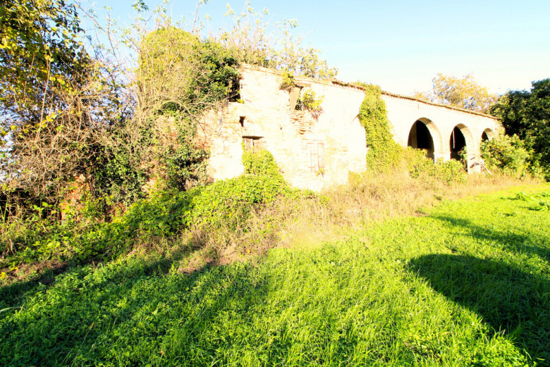 PERNUMIA: se sogni di vivere immerso nella tranquillità della campagna veneta, questa è l'opportu...