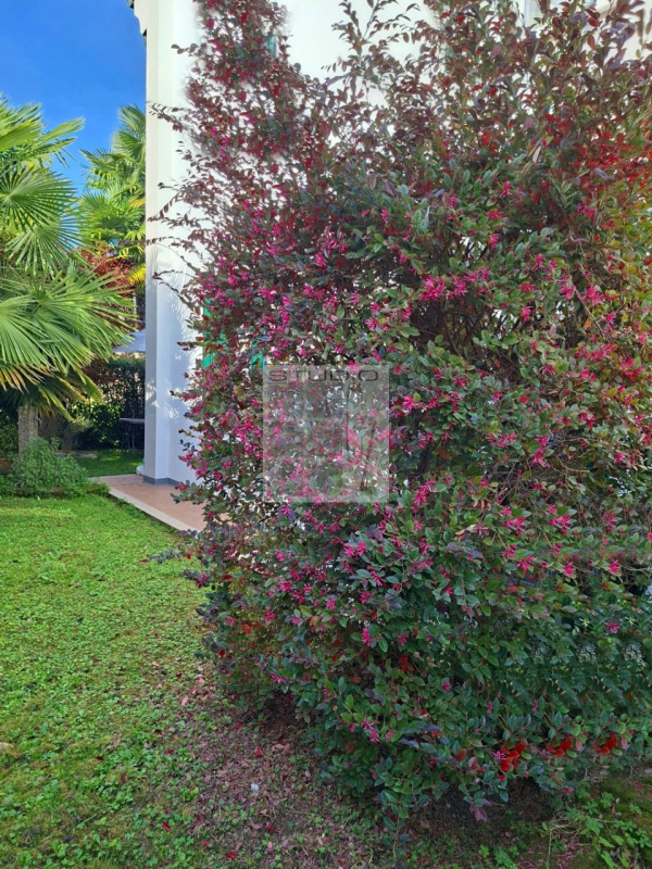 Proponiamo, in centro a Loreggia, appartamento al PIANO TERRA CON GIARDINO.

In contesto UNICO di...