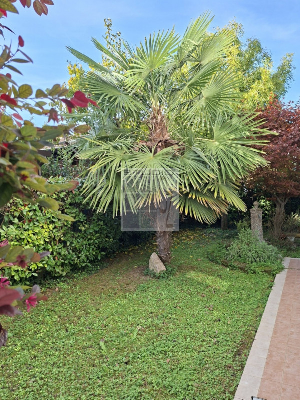 Proponiamo, in centro a Loreggia, appartamento al PIANO TERRA CON GIARDINO.

In contesto UNICO di...