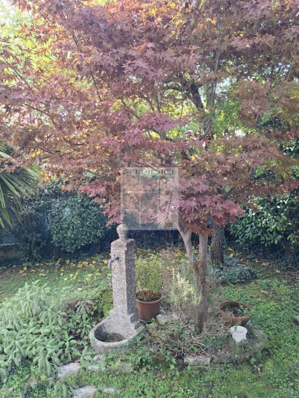 Proponiamo, in centro a Loreggia, appartamento al PIANO TERRA CON GIARDINO.

In contesto UNICO di...