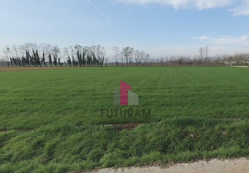 LIMENA - rif.644MIC - Per info 3473209826 -Proponiamo in vendita un ampio terreno agricolo pianeg...