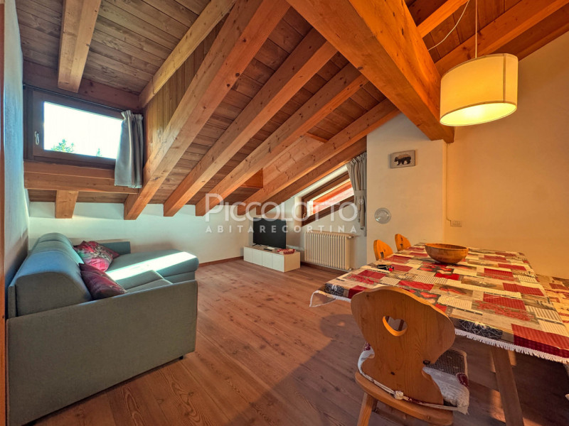 Rif. V5375 - Cortina d'Ampezzo - Attico Luminoso - Posto auto in garage

Scoprite un'opportunità ...