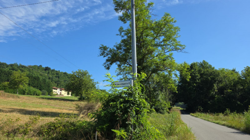 Terreni agricoli in Vendita a Rivalba