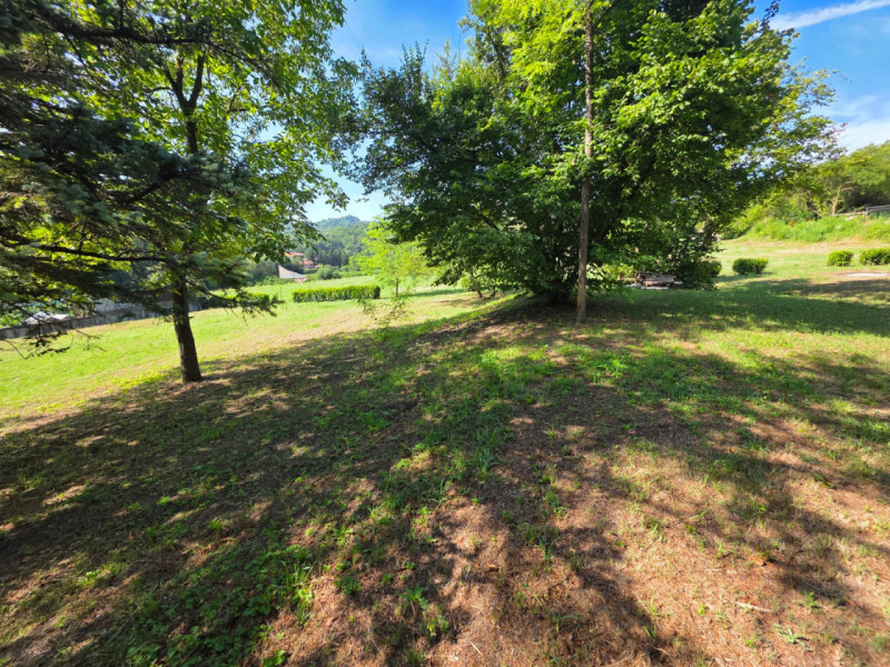 Terreni agricoli in Vendita a Rivalba