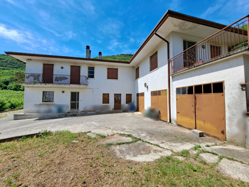 Alle pendici Sud-Est baciate dal sole dei COLLI BERICI (versante Villaga / Barbarano Vicentino), ...