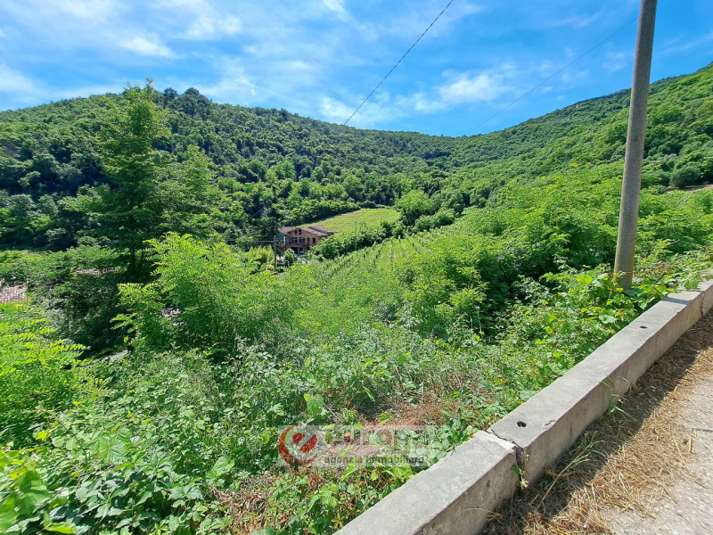 Alle pendici Sud-Est baciate dal sole dei COLLI BERICI (versante Villaga / Barbarano Vicentino), ...