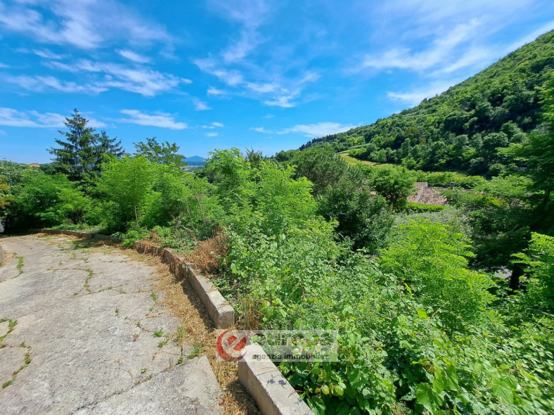 Alle pendici Sud-Est baciate dal sole dei COLLI BERICI (versante Villaga / Barbarano Vicentino), ...