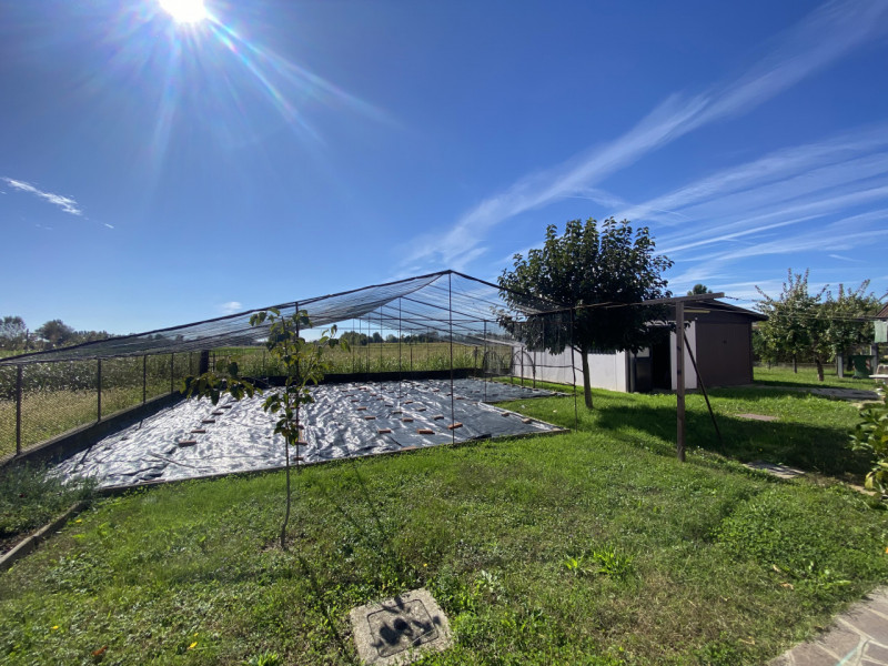 Scopri questa affascinante casa singola situata nel cuore di Zeminiana, una frazione del comune d...