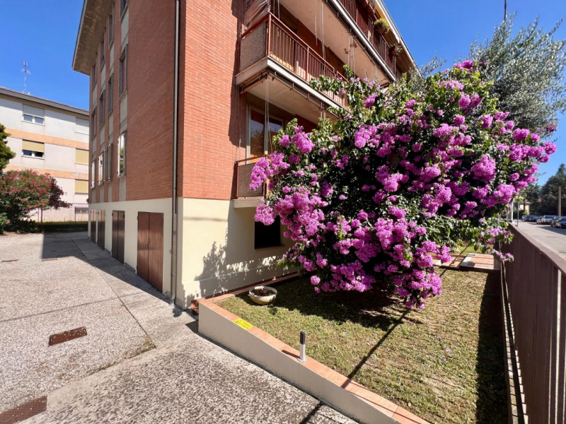 In zona tranquilla e servita della Guizza, proponiamo in locazione un luminoso appartamento situa...