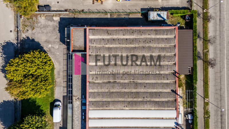 RIF:  072NM -  VIGONOVO (VE)  -  PER INFO 0444/310220

ESCLUSIVA FUTURAM
Propongo in vendita un c...