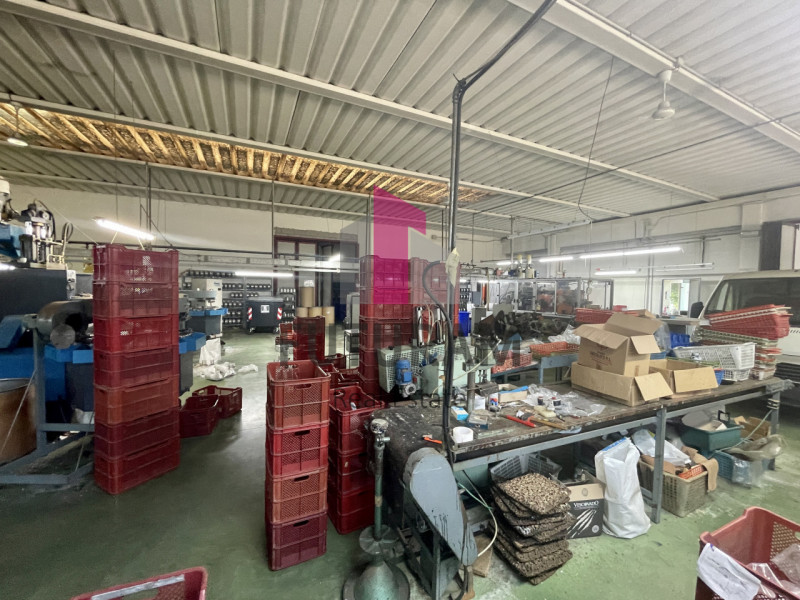 RIF:  072NM -  VIGONOVO (VE)  -  PER INFO 0444/310220

ESCLUSIVA FUTURAM
Propongo in vendita un c...