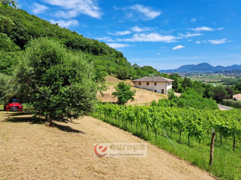 Alle pendici dei COLLI BERICI nel versante Villaga / Barbarano Vicentino, in lieve declivio bacia...