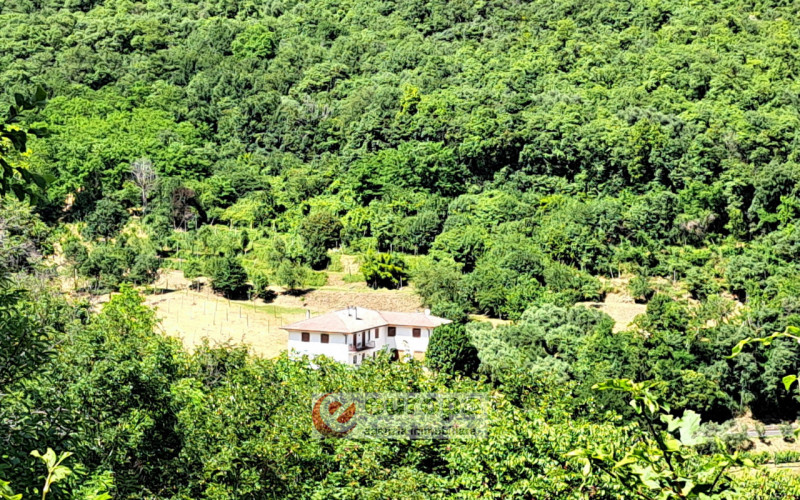 Alle pendici dei COLLI BERICI nel versante Villaga / Barbarano Vicentino, in lieve declivio bacia...