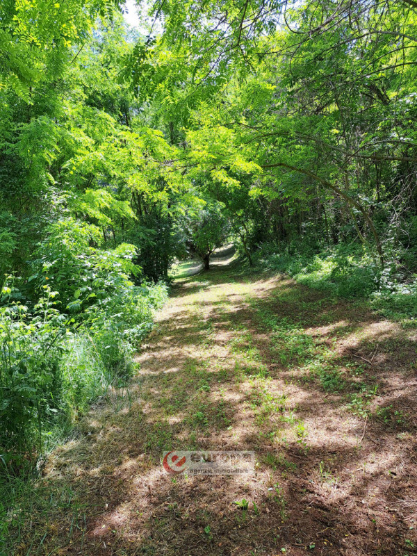 Alle pendici dei COLLI BERICI nel versante Villaga / Barbarano Vicentino, in lieve declivio bacia...