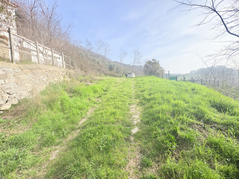 Situato nel pittoresco comune di Cinto Euganeo, questo affascinante rustico offre un'opportunità ...