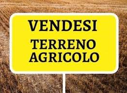 Vendesi appezzamento di terreno agricolo di circa 13.000 mq.

Il terreno è situato a Piove di sac...