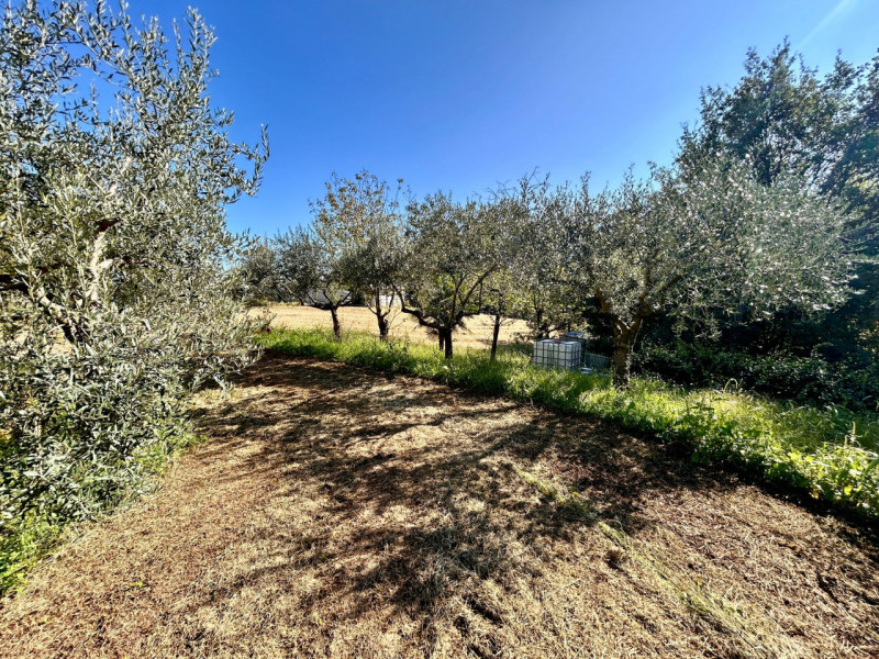 In splendida posizione collinare immersa nel verde di Valmarana, proponiamo in vendita una villa ...