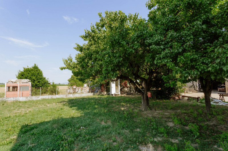 Compendio immobiliare con più fabbricati e ampi spazi verdi a Candiana (PD)

Proponiamo in vendit...