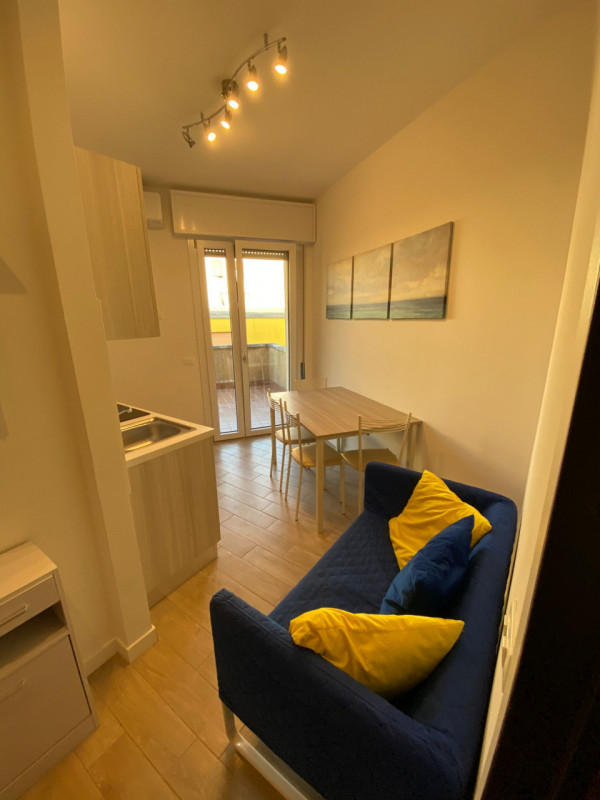 Propoaniamo in affitto appartamento composto da ingresso, angolo cottura che affaccia su immesa t...