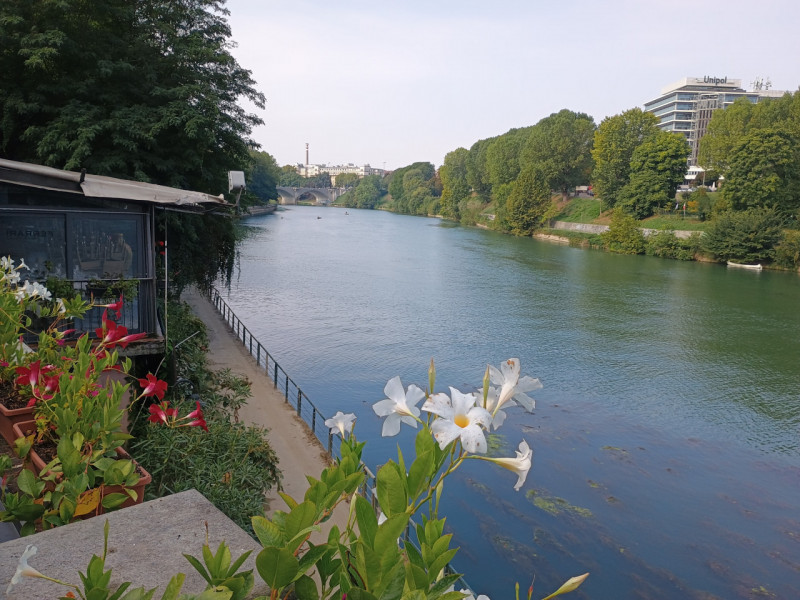 Pub Birrerie Discoteche in Vendita a Torino
