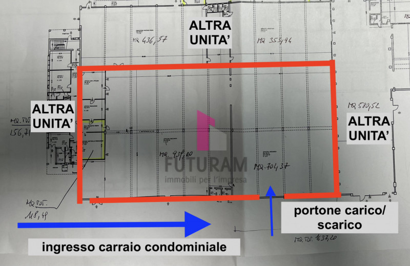 rif.646MIC - Per info 3473209826 - In zona industriale di Limena, a 3 km dal casello di Padova Ov...