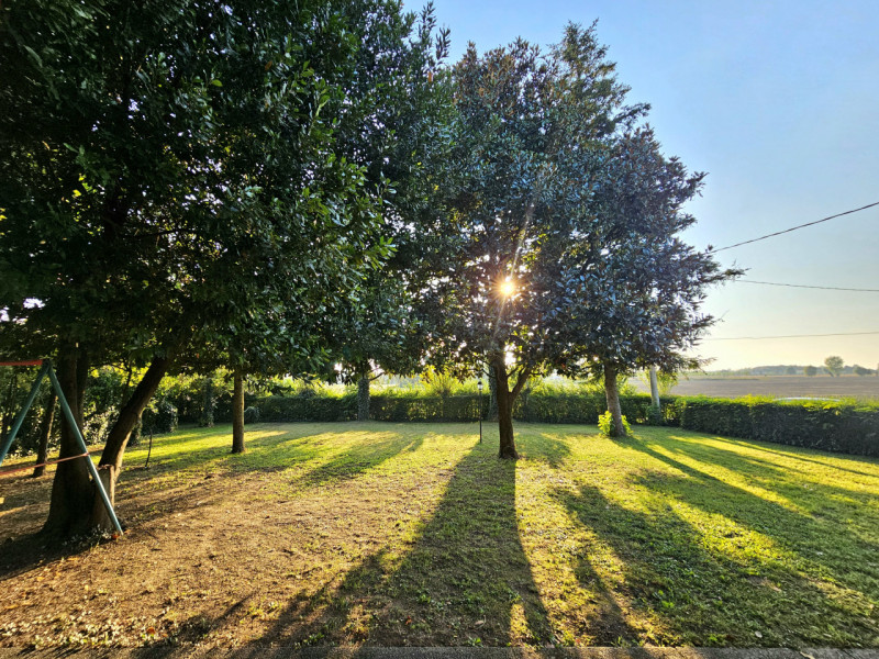 A Villa Estense, immerso nella tranquillità e nel verde, proponiamo in vendita uno spazioso appar...