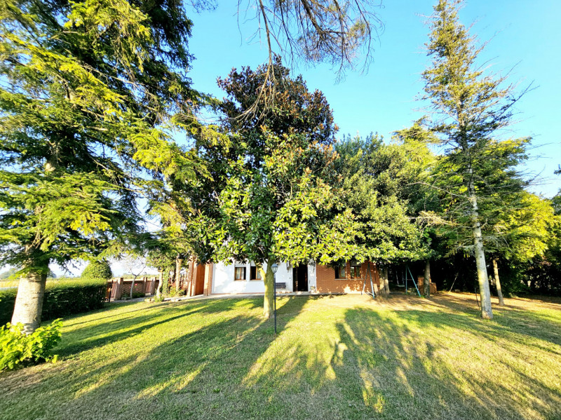 A Villa Estense, immerso nella tranquillità e nel verde, proponiamo in vendita uno spazioso appar...