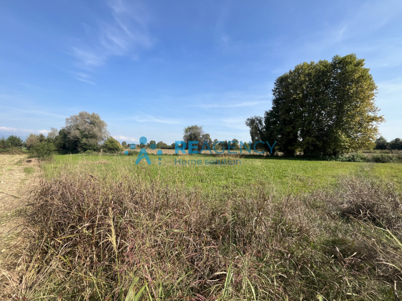 Scopri un'opportunità unica con questo terreno agricolo situato a Pojanella di Bressanvido, estes...