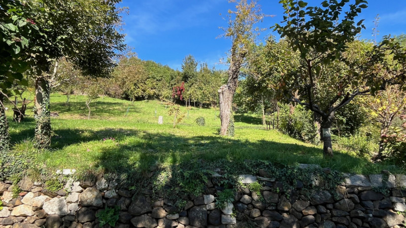 In zona molto soleggiata e panoramica proponiamo casa affiancata di testa di ampie metrature con ...