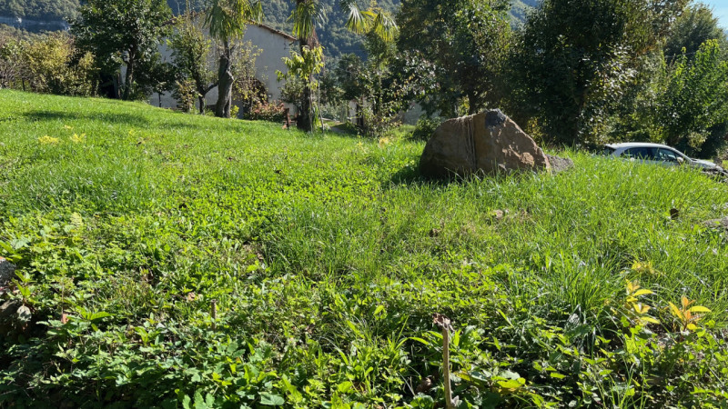 In zona molto soleggiata e panoramica proponiamo casa affiancata di testa di ampie metrature con ...