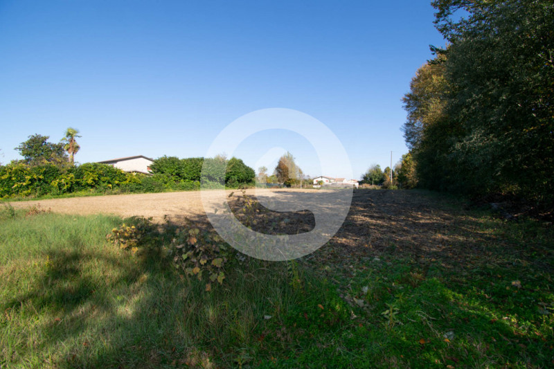 CAMPODARSEGO - (Località Bronzola) - Nel comune di Campodarsego, precisamente in località Bronzol...