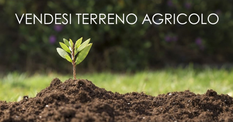 Scopri questa straordinaria opportunità di investimento nel verde paesaggio del Comune di Rosà. P...