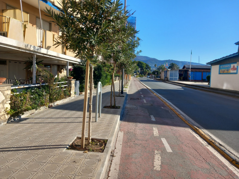 immagine annuncio 7 di 8