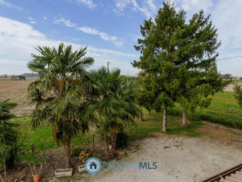 Immobile in esclusiva al Gruppo Padova MLS
Immersa nel verde ma comodamente vicina al centro del ...