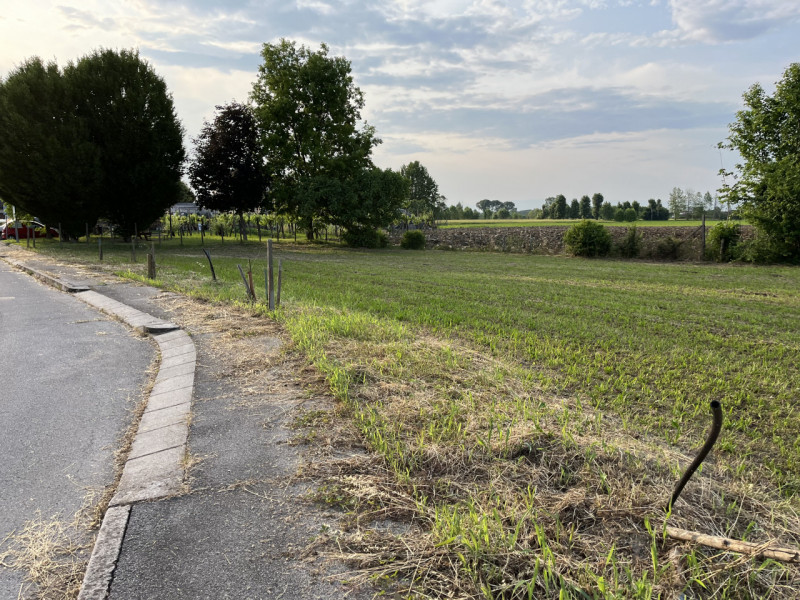 Santa Maria, tranquilla e carinissima frazione del Comune di Veggiano, proponiamo in VENDITA UN L...