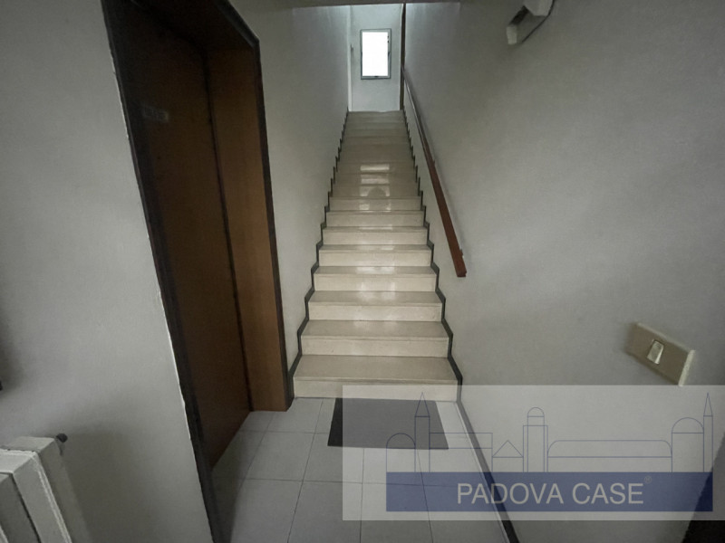 Nel cuore pulsante della zona produttiva di Limena, presentiamo un'opportunità imperdibile per ch...