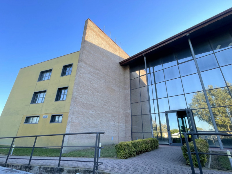 ZONA INDUSTRIALE DI CONSELVE - BAGNOLI DI SOPRA: Prestigioso Ufficio di complessivi 310 mq. circa...