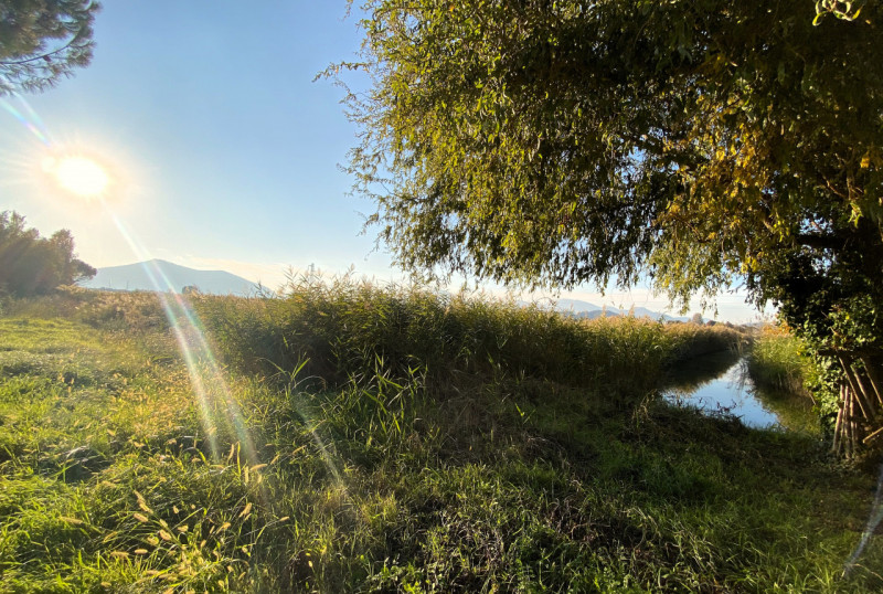 PERNUMIA: in località di Casona appezzamento di terreno agricolo della metratura di 14.113 mq cor...