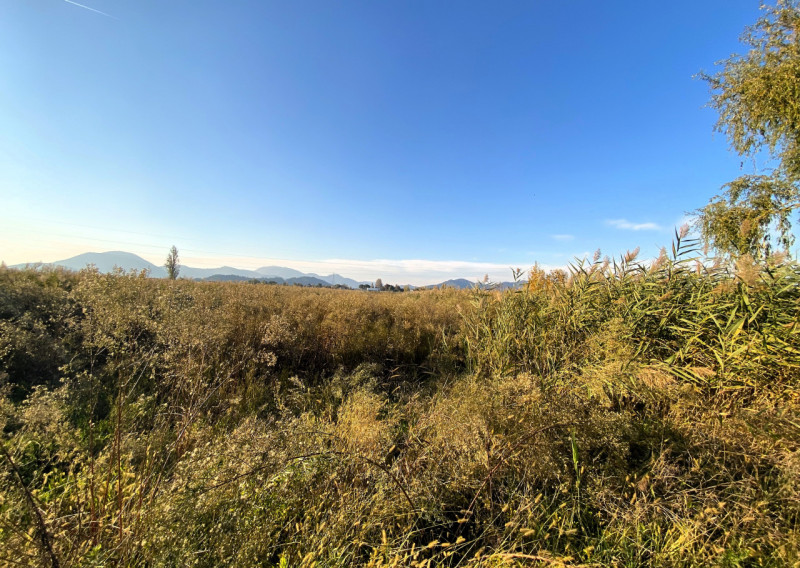 PERNUMIA: in località di Casona appezzamento di terreno agricolo della metratura di 14.113 mq cor...