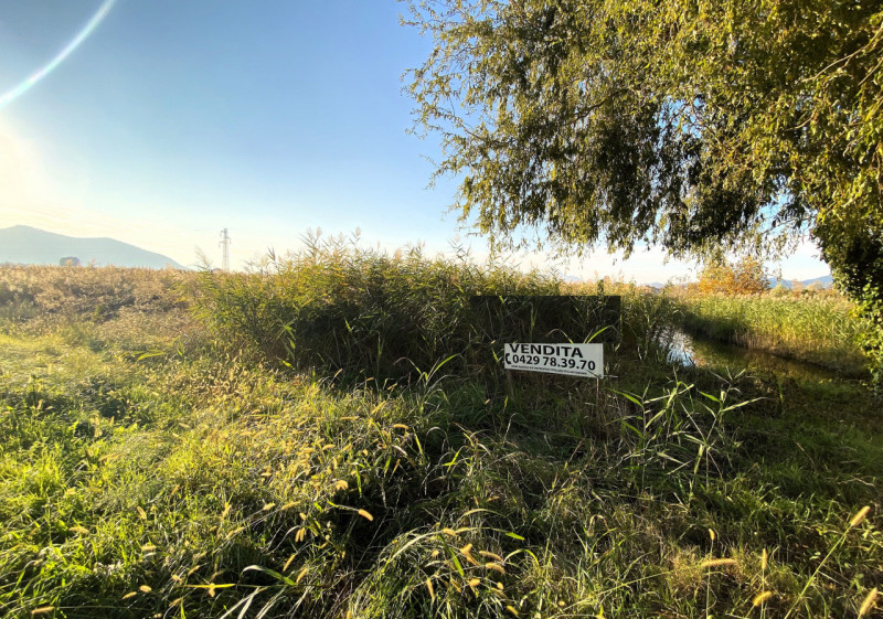 PERNUMIA: in località di Casona appezzamento di terreno agricolo della metratura di 14.113 mq cor...