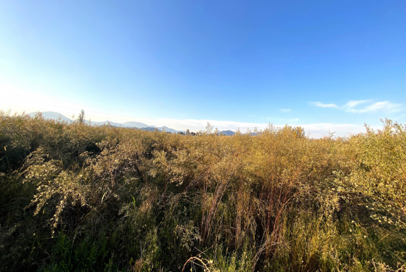 PERNUMIA: in località di Casona appezzamento di terreno agricolo della metratura di 14.113 mq cor...