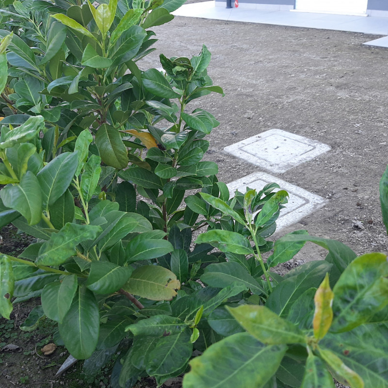 Nell'esclusivo quartiere di Madonna Pellegrina proponiamo uno splendido appartamento di nuova gen...