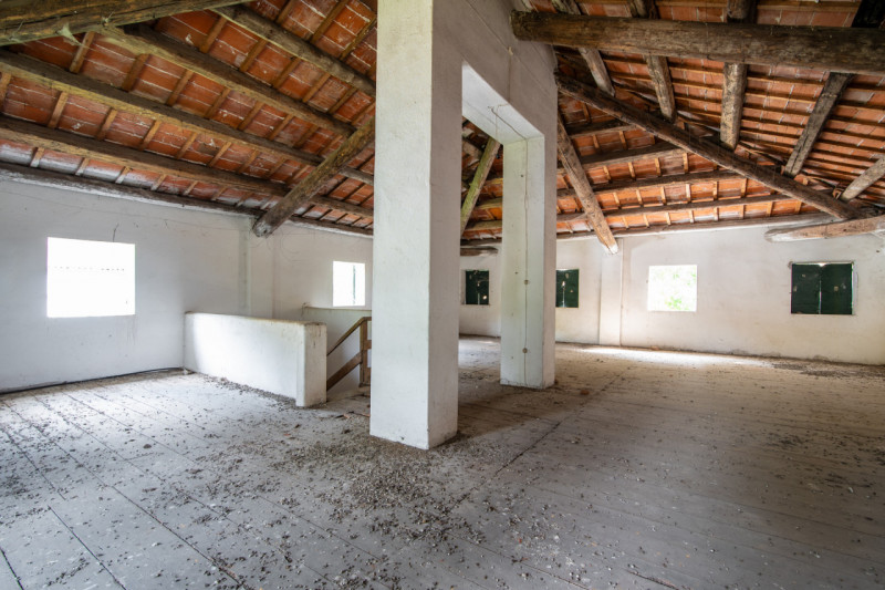 San Giorgio in Bosco – Località Giarabassa

Villa storica da restaurare con parco privato di 2.00...