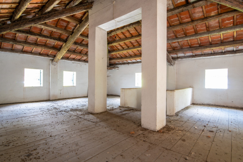 San Giorgio in Bosco – Località Giarabassa

Villa storica da restaurare con parco privato di 2.00...