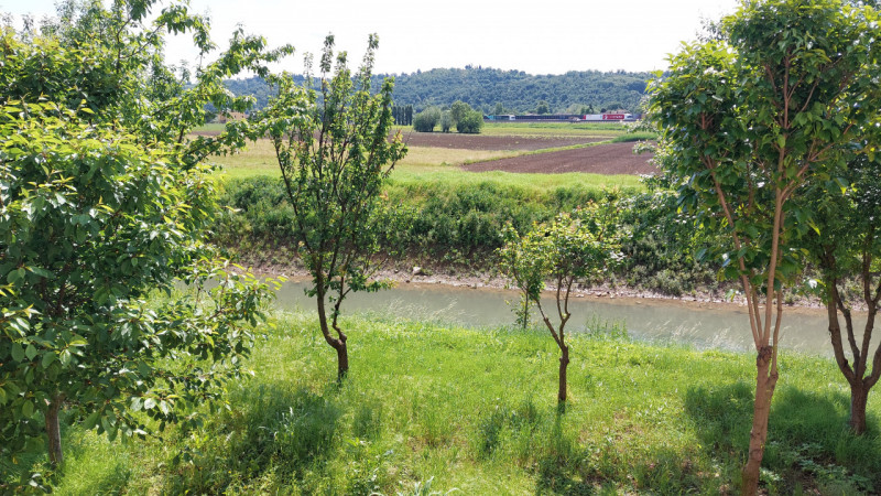Vicenza, in zona di Sant' Agostino, si propone in vendita una casa singola di ampie metrature, di...