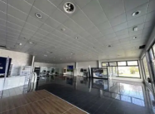 Rif. A.A.278-24

Vendita all'asta - fabbricato commerciale in data 02 dicembre 2025

Descrizione:...