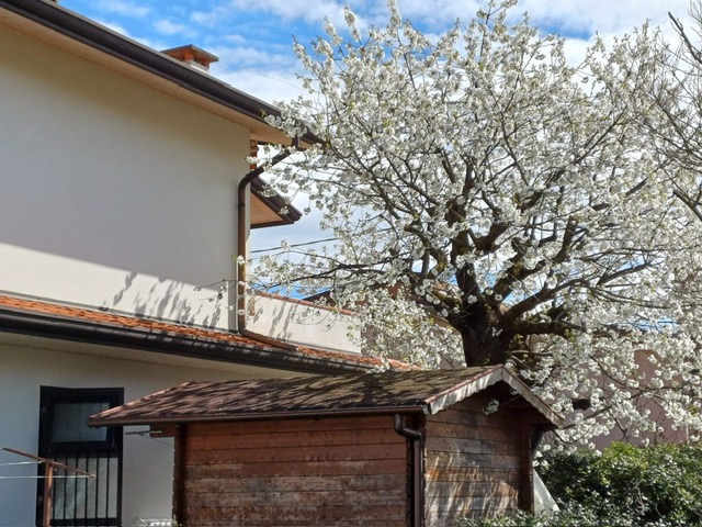 CAZZAGO di Pianiga vendesi bella Bifamiliare con giardino privato e ingresso indipendente. 
Svilu...