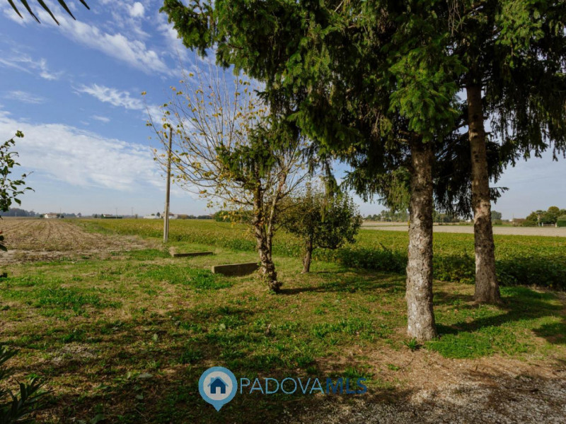 Immobile in esclusiva al Gruppo Padova MLS
Immersa nel verde ma comodamente vicina al centro del ...